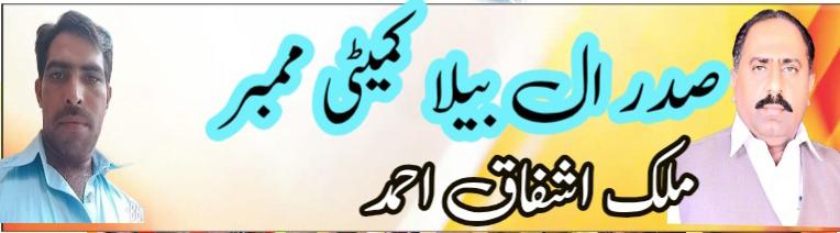 کوپرہ کلاں اینڈ کوٹھیالہ 31 کبوتروں کا ون ڈے