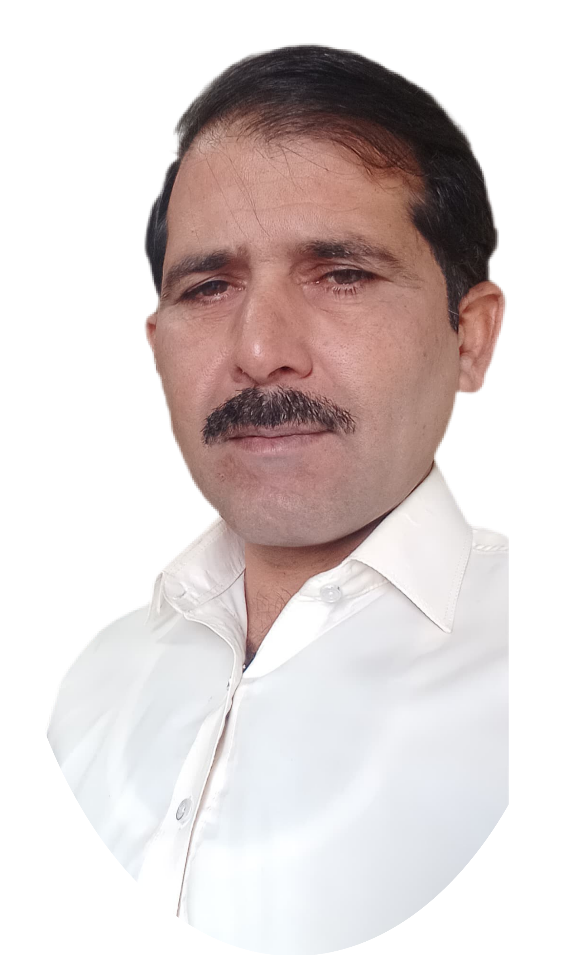 استاد محمود